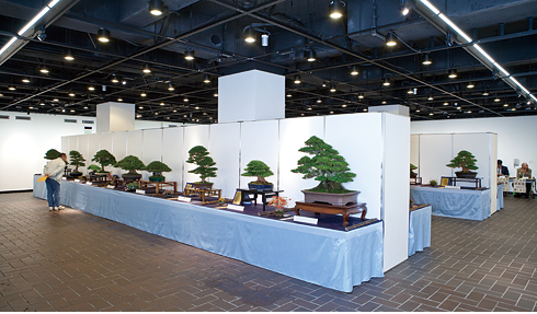 第15回 錦秋展（東京都美術館内）開催の様子